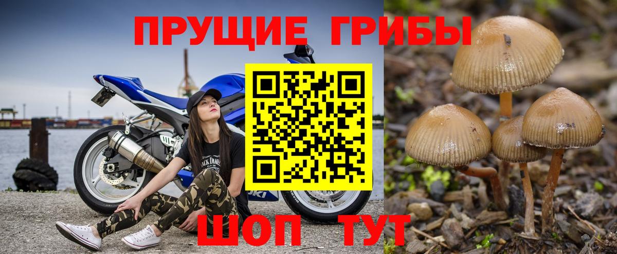 Минеральные Воды  Галлюциногенные грибы ЛСД  Вход с VPN 