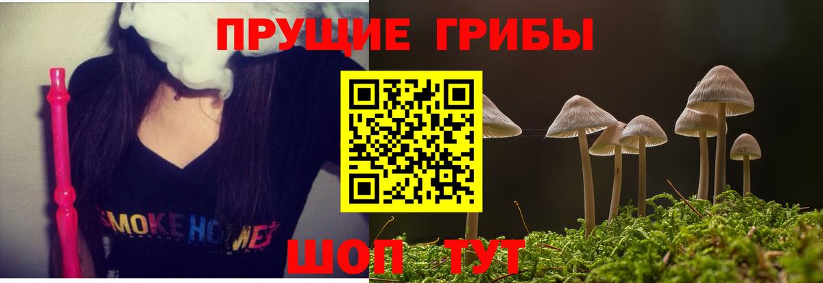 Псилоцибиновые грибы MAGIC MUSHROOMS Минеральные Воды